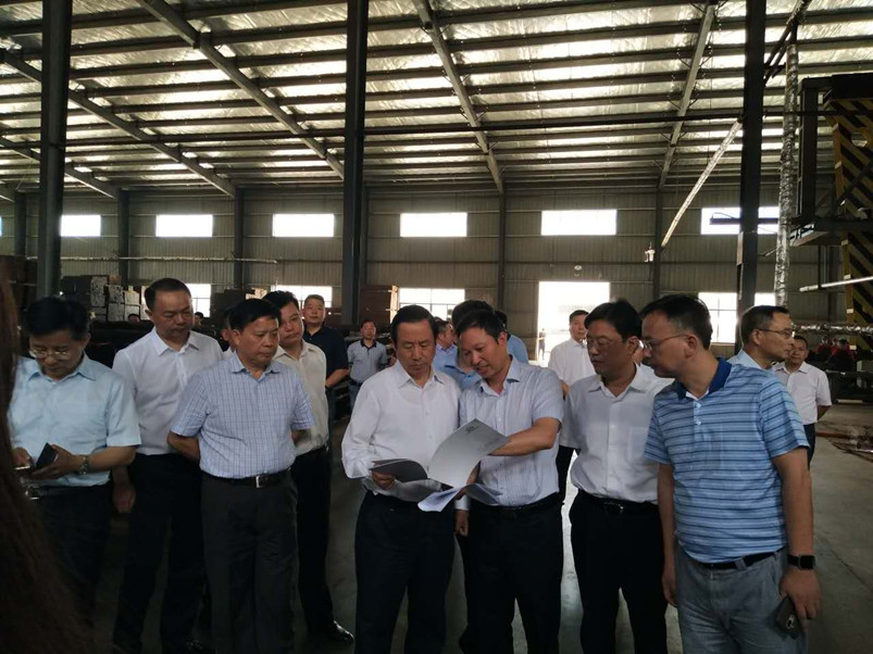 湖南省長(zhǎng)許達(dá)哲親臨桃花江竹材科技